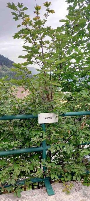 Apartment Morris Bad Gastein Dış mekan fotoğraf